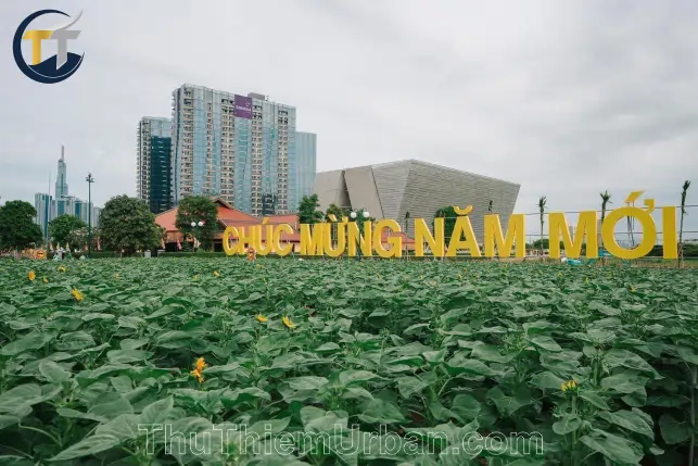 công viên bờ sông thủ thiêm -vườn hoa hướng dương new