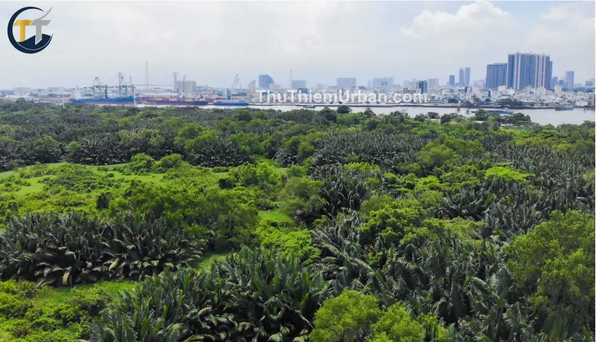 hình chụp lâm viên sinh thái thủ thiêm - phía sông sài gòn new