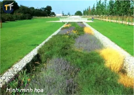 minh họa công viên chức năng tại khu đô thị mới thủ thiêm new