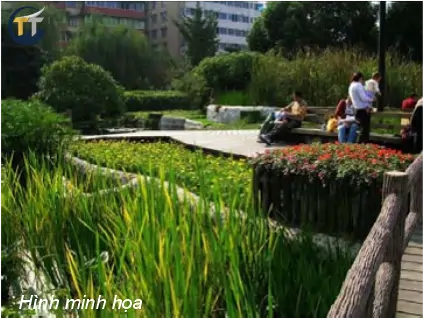 minh họa công viên chức năng tại khu đô thị mới thủ thiêm - thủ đức new