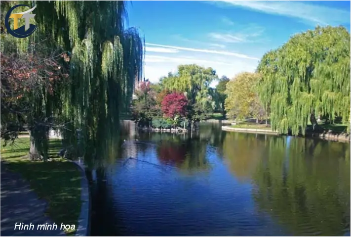 minh họa công viên chức năng thủ thiêm - việt nam new